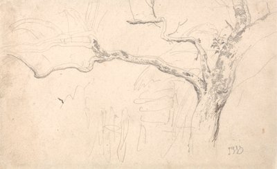 Estudio de árboles de James Ward