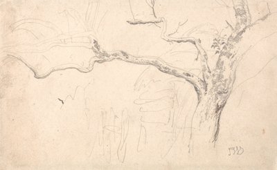 Estudio de árboles de James Ward