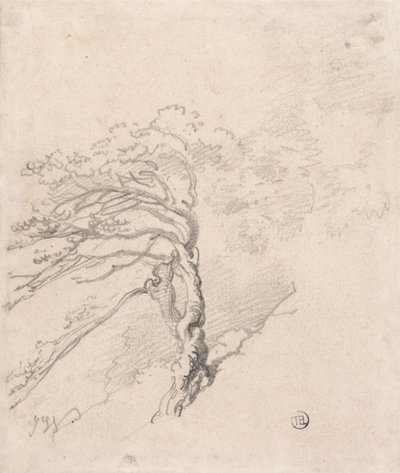 Árbol en una ladera de James Ward