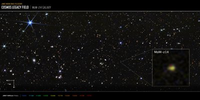 Galaxia MoM-z14 del campo COSMOS (imagen de la NIRCam) de James Webb Space Telescope (NASA)