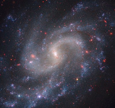 NGC 5584 (Webb NIRCam + Hubble WFC3) de James Webb Space Telescope (NASA)