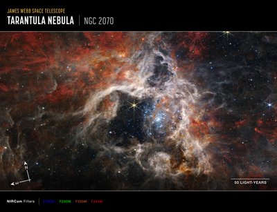 Nebulosa de la Tarántula (Imagen de brújula NIRCam) de James Webb Space Telescope (NASA)