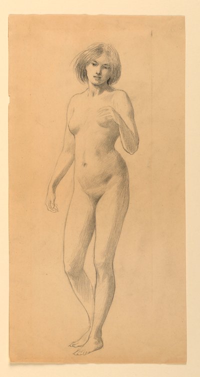 Desnudo femenino de pie de James Wells Champney