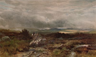 Camino de Montaña, Capel Curig, Norte de Gales de James William Whitaker