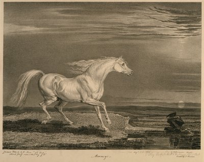 Marengo, de Caballos célebres, un conjunto de catorce grabados de carreras publicados por el artista, 1823-24 de James after Ward