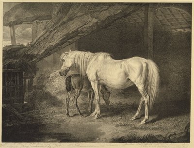 Primrose y potro, de Caballos célebres, un conjunto de catorce grabados de carreras publicados por el artista, 1823-24 de James after Ward