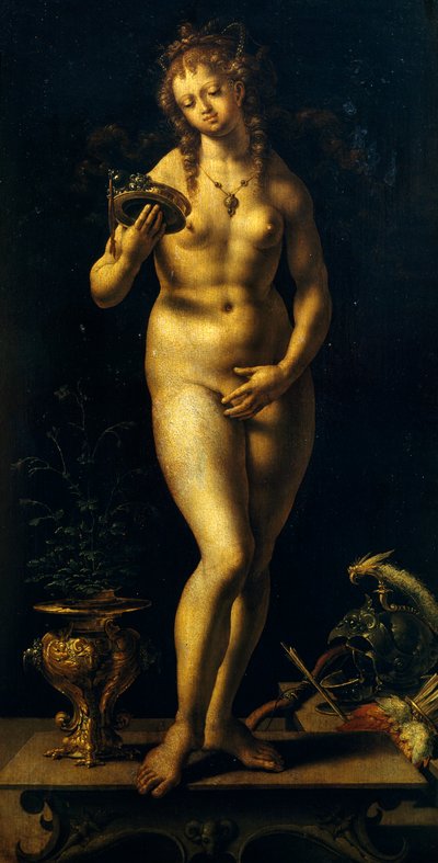 Venus de Jan (c.1472 c.1533) Gossaert