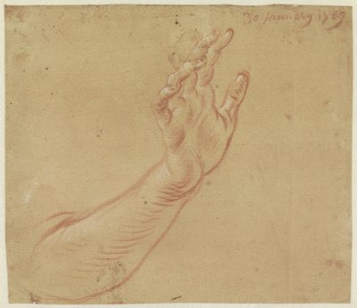 Estudio de un brazo derecho de Jan Anton Garemyn
