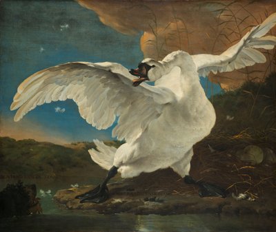 El cisne amenazado
El cisne amenazado; interpretado posteriormente como una alegoría sobre Johan de Witt de Jan Asselijn