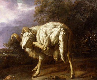 Un carnero en un paisaje boscoso de Jan Baptist Weenix