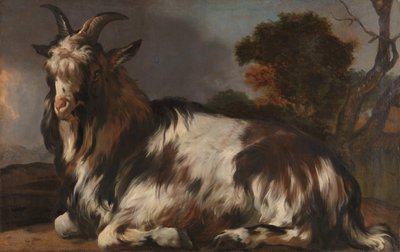 Cabra tumbada de Jan Baptist Weenix