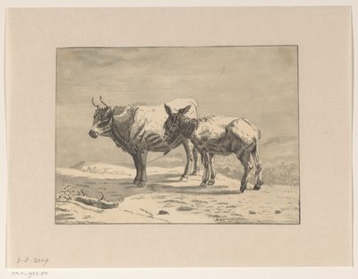 Un toro y un burro de Jan Bedijs Tom