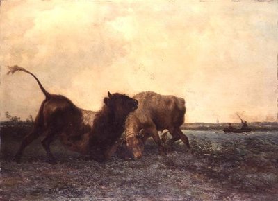 Toros Luchando de Jan Bedys Tom