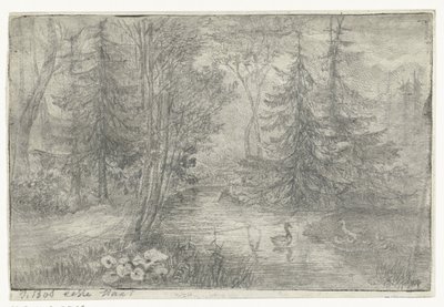 Estanque forestal con patos de Jan Bos Wz. (signed by artist)