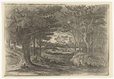 Paisaje forestal con cinco ovejas. de Jan Bos Wz.