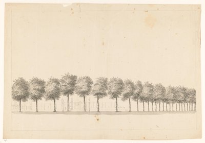 Bomenallee en Batavia de Jan Brandes