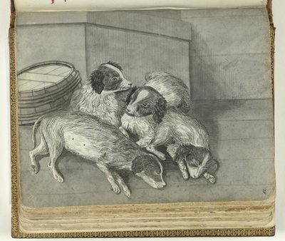 perros de Jan Brandes