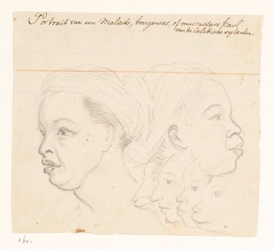 Retrato de un Buginés Retrato de un karl malayo, Bougeen o Maccassars del Celebische eylanden. (título en el objeto) de Jan Brandes