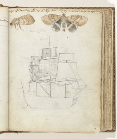 mariposa y barco de Jan Brandes