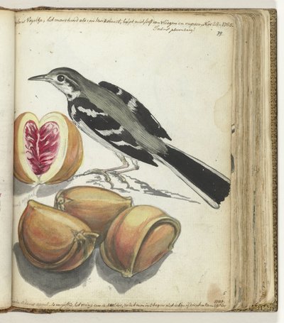 Lavandera con Fruta de Jan Brandes