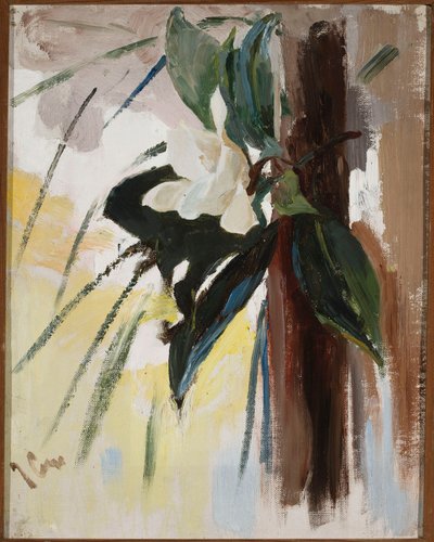 Magnolia de Jan Ciągliński