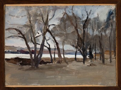 Paisaje invernal - parque en la isla Petrovski de Jan Ciągliński