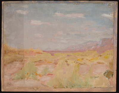 Estepa (región transcaspiana). De un viaje a Turkestán de Jan Ciągliński