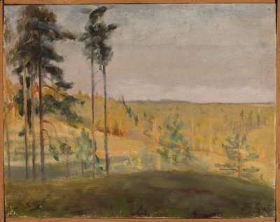  de Jan Ciągliński