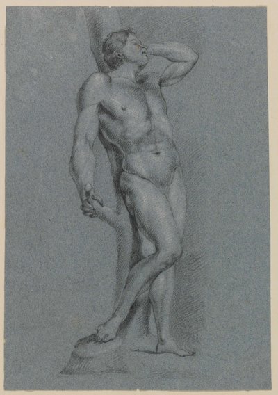 Hombre desnudo, de pie apoyado en un árbol de Jan Claudius de Cock