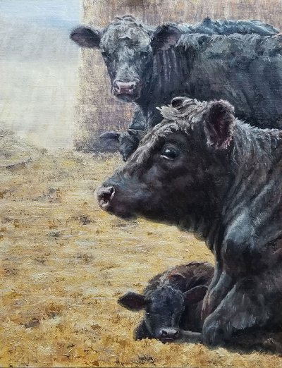 Familia del ganado negro de Jan Clizer