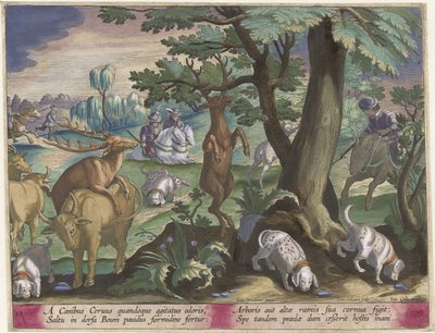 Hertenjacht conoció a honden Jachttaferelen (título de la serie) La caza de animales salvajes, aves y peces en el Bestiario (título de la serie) de Jan Collaert