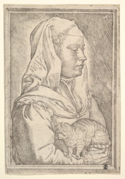 Niña con un gato, 1546 de Jan Cornelisz Vermeyen