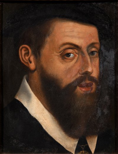Retrato del Emperador Carlos V 1500-1558 de Jan Cornelisz. Vermeyen