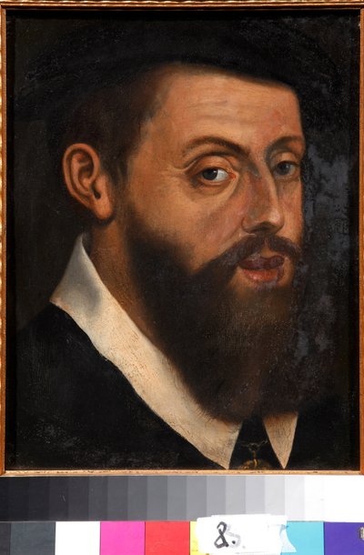 Imagen desconocida de Jan Cornelisz Vermeyen