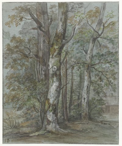 Estudio de los árboles de Jan Dasveldt