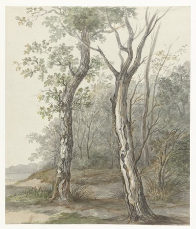 Paisaje forestal de Jan Dasveldt