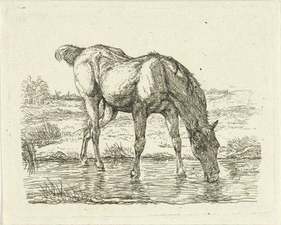 caballo bebiendo de Jan Dasveldt