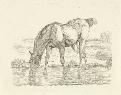 caballo bebiendo de Jan Dasveldt