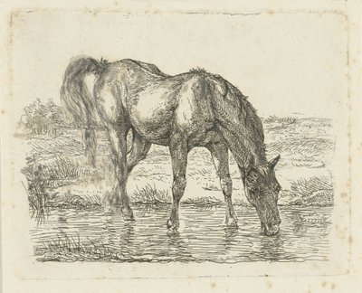 caballo bebiendo de Jan Dasveldt
