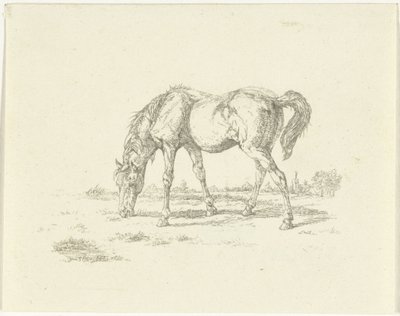 Caballo pastando a la derecha de Jan Dasveldt