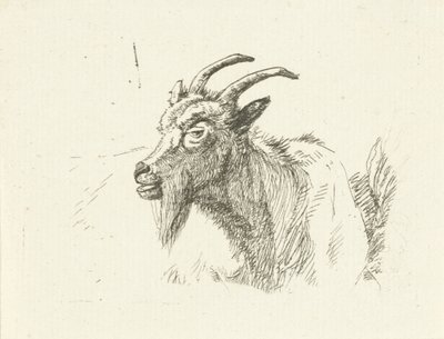 Cabra reclinada de Jan Dasveldt