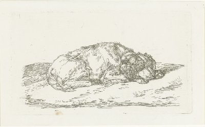 Perro durmiendo con la cabeza apoyada en las patas delanteras de Jan Dasveldt