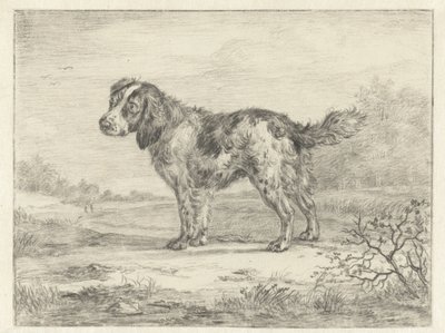 Spaniel de pie en un paisaje de Jan Dasveldt