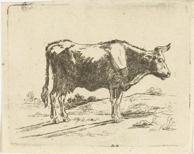 vaca de pie de Jan Dasveldt