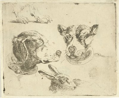 Ficha de estudio con dos cabezas de perro, patas de perro y cabeza de liebre de Jan Dasveldt