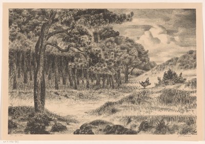 Bosque en un paisaje de colinas de Jan Fekkes (signed by artist)