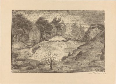 Heath cerca de Laren de Jan Fekkes (signed by artist)