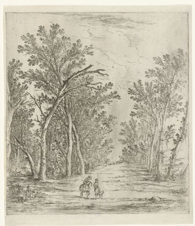 camino del bosque de Jan Fouceel