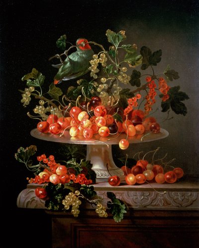 Una Naturaleza Muerta de Cerezas y Grosellas con un Loro de Jan Frans van Son