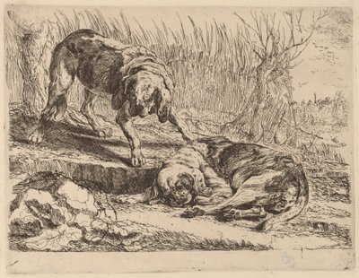 Dos beagles, uno durmiendo de Jan Fyt